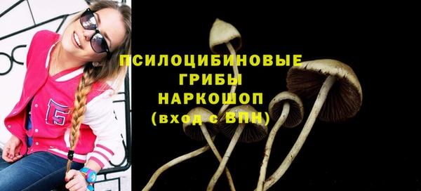 МДПВ Дубовка