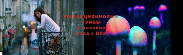 шишки Алексин