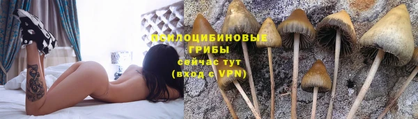 дмт Алексеевка