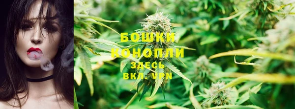 PSILOCYBIN Алзамай