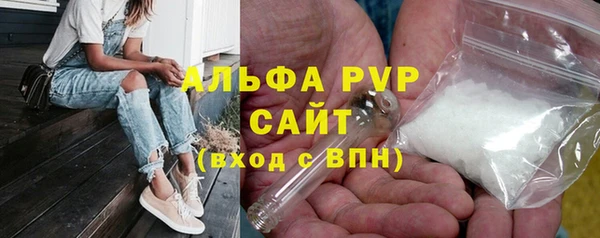 шишки Алексин