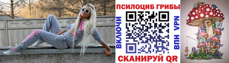 Галлюциногенные грибы Psilocybine cubensis  что такое наркотик  Киреевск 