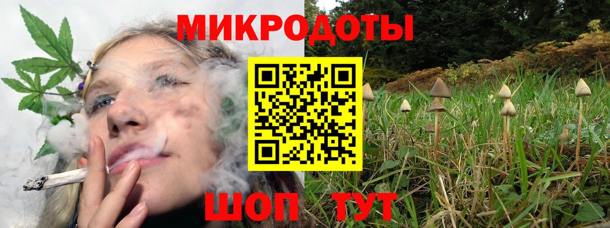 Галлюциногенные грибы Psilocybine cubensis Киреевск