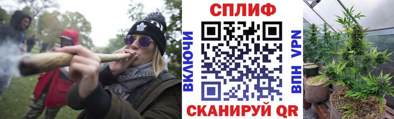 Шишки марихуана тримм  гидра tor  Киреевск 